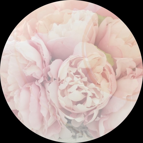 gracefulpeony